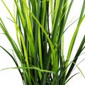 Artificial Grass Plant Foliage Lemongrass Plant 60cm Plants-2