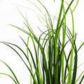 Artificial Grass Plant Foliage Lemongrass Plant 60cm Plants-1