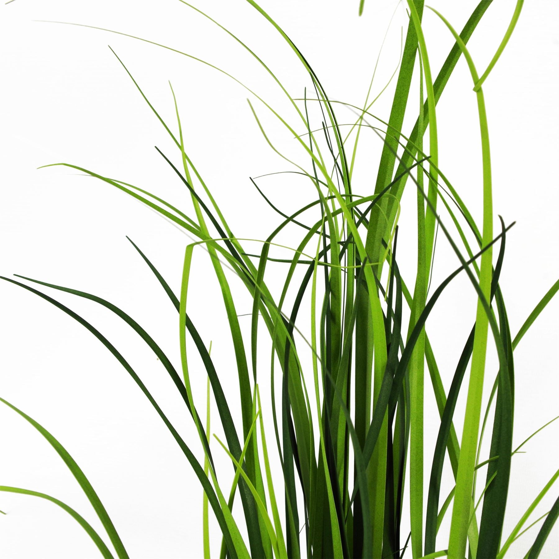 Artificial Grass Plant Foliage Lemongrass Plant 60cm Plants-1